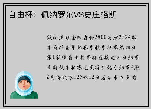 自由杯：佩纳罗尔VS史庄格斯